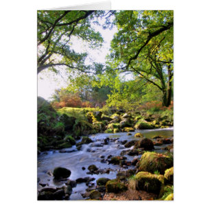 Cartão 'Para baixo pelo River