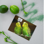 Cartão Para Brother Green Parakeets Foto Birthday<br><div class="desc">Um cartão de aniversário engraçado e colorido para o irmão que mostra a foto de um par de periquitos verdes brilhantes,  também chamam de Orçamento. Selecione entre um cartão de estilo mate ou brilhante.</div>