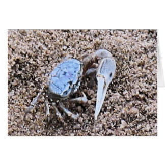 Cartão Para Cima e Suja! Fiddler Crab