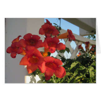 Cartão para confortar uma pessoa enlutada em um di