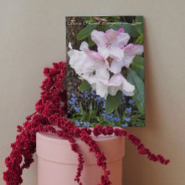 Cartão Para Dia de as mães Floral Filha-em-Lei