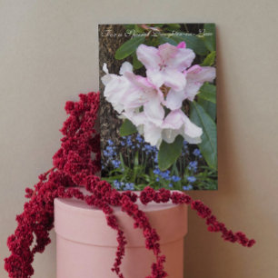 Cartão Para Dia de as mães Floral Filha-em-Lei