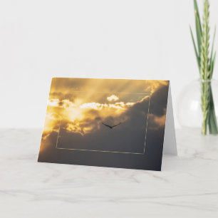 Cartão Para Fora Da Águia Solar Com Borda