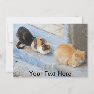 Cartão para gatos personalizáveis, Chefchaouen, Ma