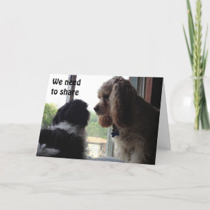 CARTÃO PARA NOSSOS PUPS DE ANIVERSÁRIO COMPARTILHADOS NU