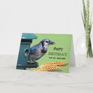 Cartão Para o aniversário do irmão com o Blue Jay no alim