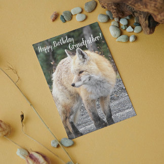 Cartão Para o Avô Red Fox Phox Birthday