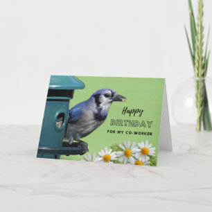 Cartão Para o Colaborador Aniversário com Blue Jay no Ali