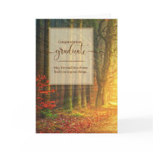 para o Formando Woodland Path Sunlit Forest