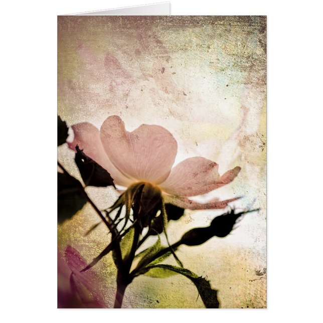 Cartão Para o Místico (Frente)