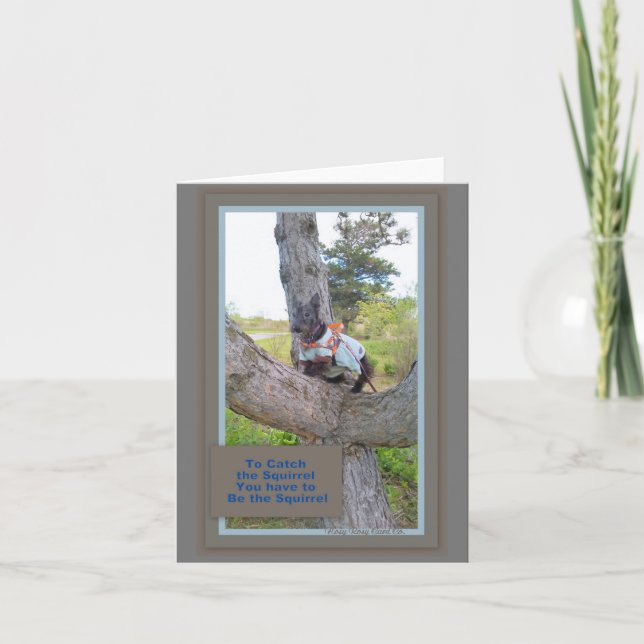 Cartão Para pegar a placa de esquilo (Frente)