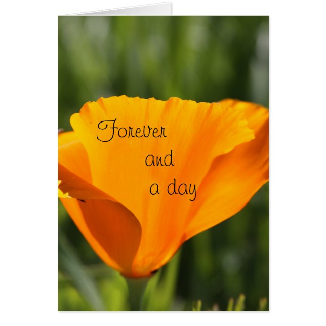 Cartão Para sempre e um dia (Frente)