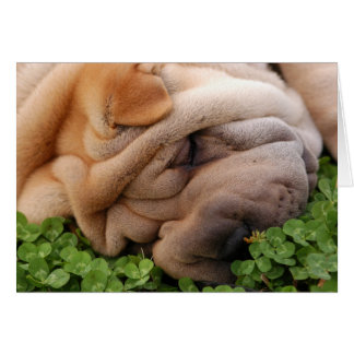 Cartão Para Sempre Envolvido Pelo Seu Coração