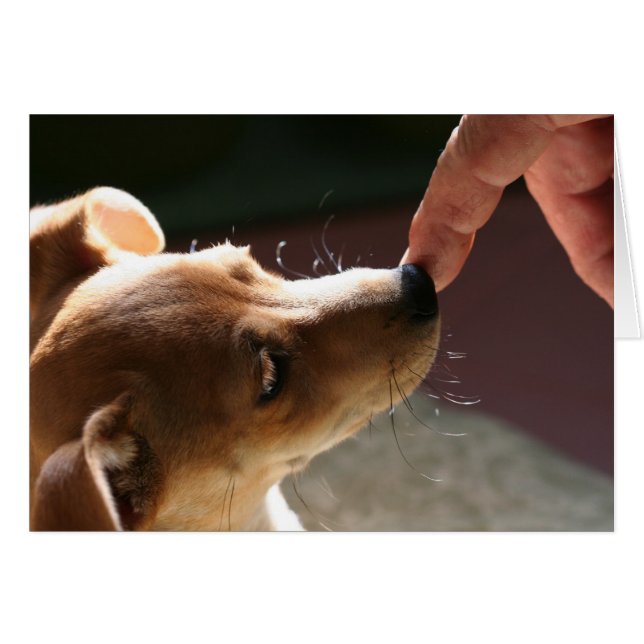 Cartão Para ser sem um cão… (Frente Horizontal)