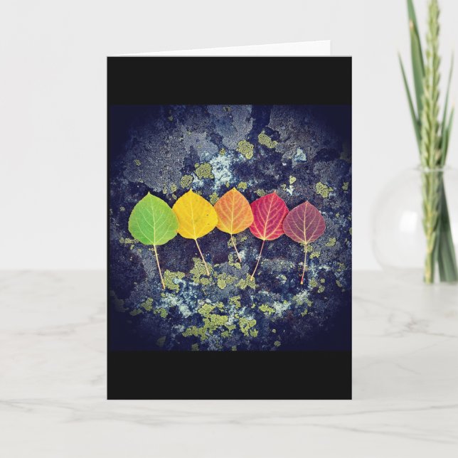 cartão para todos e todas as estações (Frente)