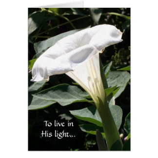 Cartão Para viver em sua luz