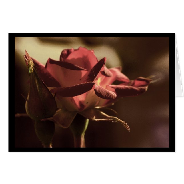 Cartão Para você (Frente Horizontal)