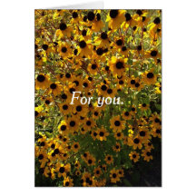 Para você Black Eyed Susan Flowers