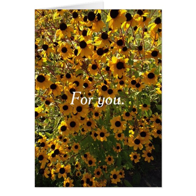 Cartão Para você Black Eyed Susan Flowers (Frente)
