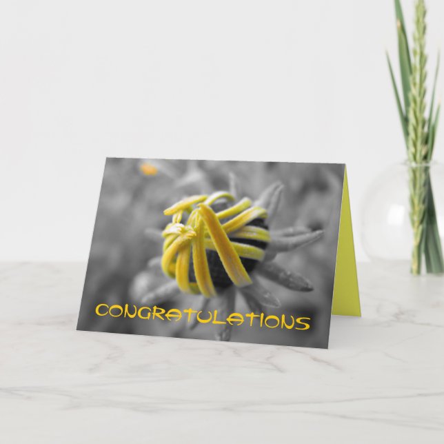 Cartão Parabéns (Frente)