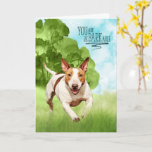 Parabéns ao cão reBARKable Bull Terrier