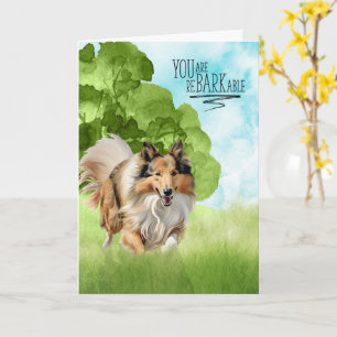 Cartão Parabéns ao cão Rough Collie reBARKable
