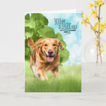 Parabéns cão reBARKable Golden Retriever