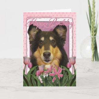 Cartão Parabéns - Collie - Caroline
