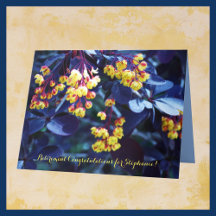 PARABÉNS de Aposentação de Nome Personalizado JUMB