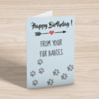 Parabéns de Cães Gatos Múltiplos