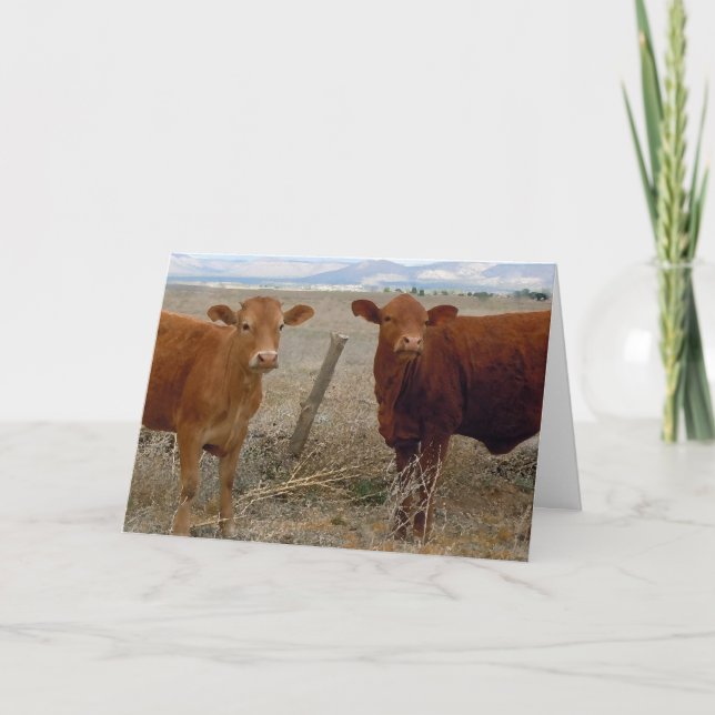 Cartão Parabéns de Graduação em Fábrica de Fazendas de Fá (Frente)