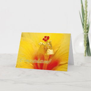 Cartão Parabéns de Hibiscus Amarelos