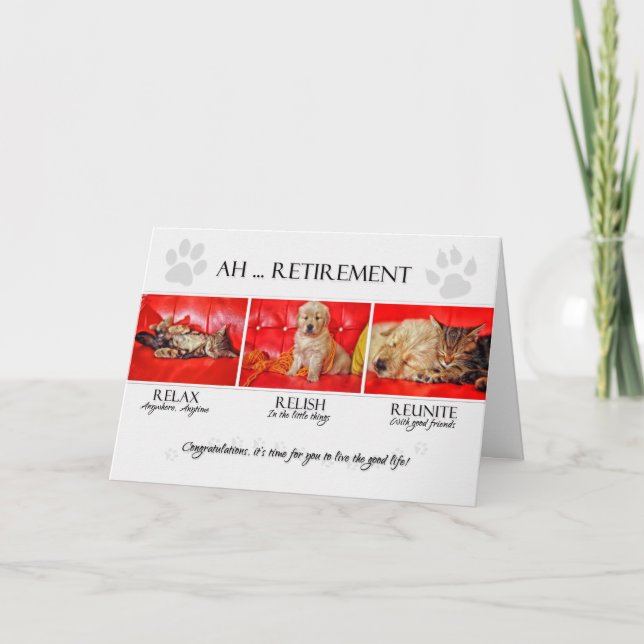 Cartão Parabéns de Reforma Divertidos para o Pet Lover (Frente)