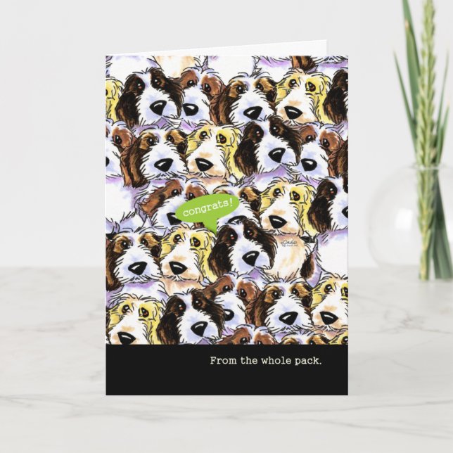 Cartão Parabéns dos cães engraçados do grupo PBGV (Frente)