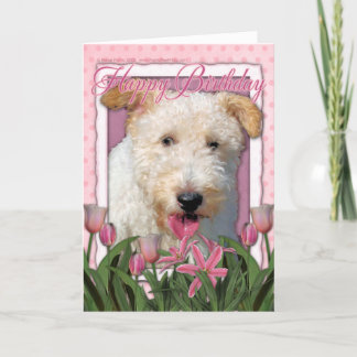 Cartão Parabéns - Fio Fox Terrier - Hailey