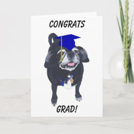 Cartão Parabéns Formando Cachorro Cachorro Boné Azul e Ca