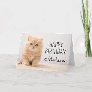 Cartão Parabéns   Gatinho British Longhair