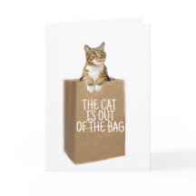 PARABÉNS (Gatos Fora Do Saco)