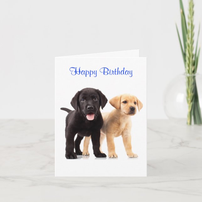 Cartão Parabéns, Labrador Retriever Puppies Card (Frente)