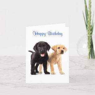 Cartão Parabéns, Labrador Retriever Puppies Card