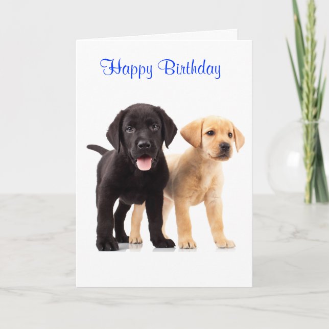 Cartão Parabéns, Labrador Retriever Puppies Card (Frente)