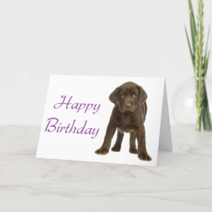 Cartão Parabéns Labrador Retriever Puppy Dog Card