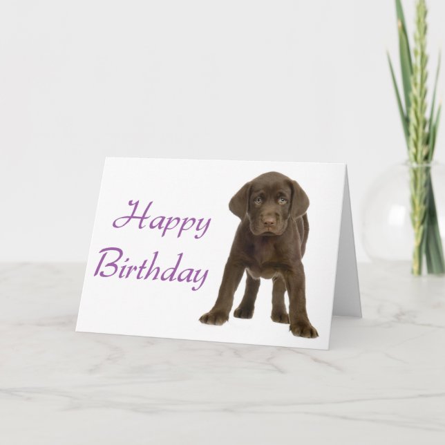 Cartão Parabéns Labrador Retriever Puppy Dog Card (Frente)