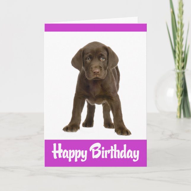 Cartão Parabéns Labrador Retriever Puppy Dog Card (Frente)
