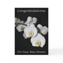 Parabéns Na Sua Nova Orquídea Doméstica!