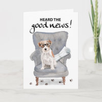 Parabéns no Good News Dog com jornal
