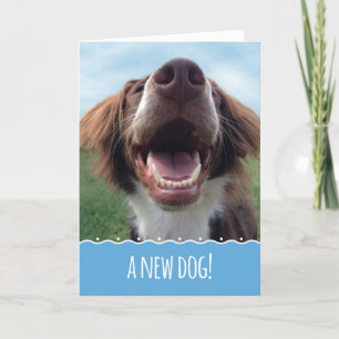 Cartão Parabéns no seu novo cão, feliz pup