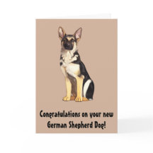 Parabéns no seu novo German shepherd