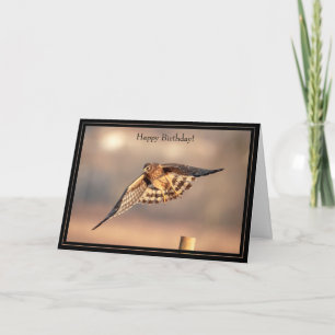 Cartão Parabéns Norte Harrier Hawk