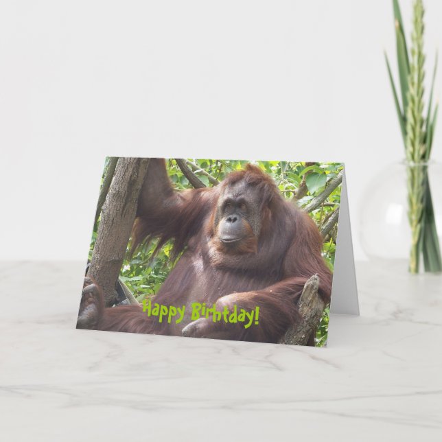 Cartão Parabéns Orangutan! (Frente)